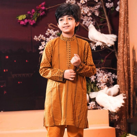 Boys Panjabi-30697