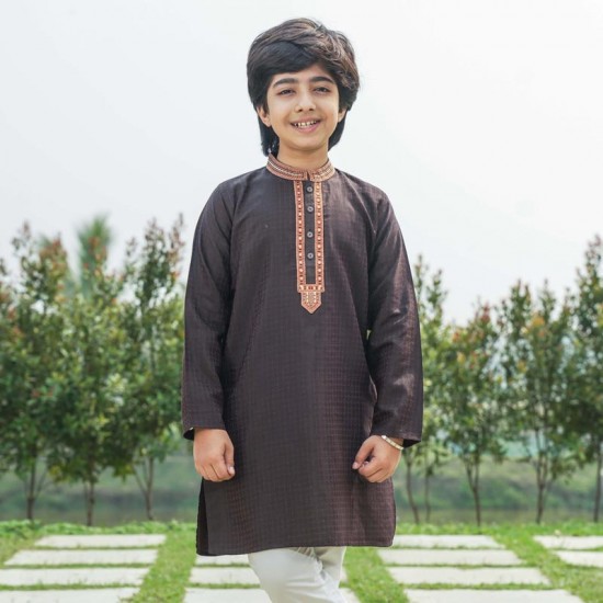 Boys Panjabi-31373