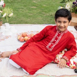 Boys Panjabi-34087