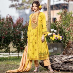 Salwar Kameez Orna-31549