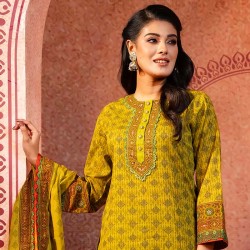 Salwar Kameez Orna-33157