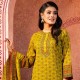 Salwar Kameez Orna-33157