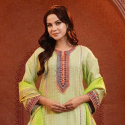 Salwar Kameez Orna-33599