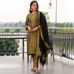 Salwar Kameez Orna-34006